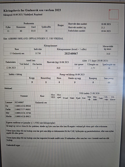 Product image 3 of 3