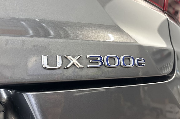 Lexus UX300e 21 of 30