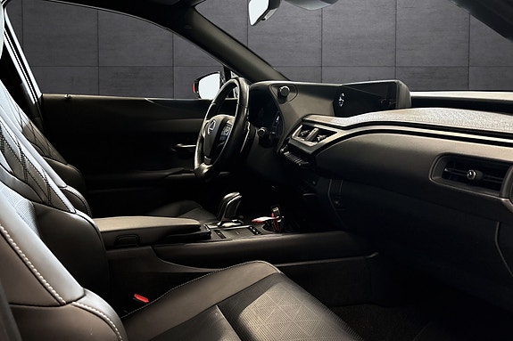 Lexus UX300e 15 of 30