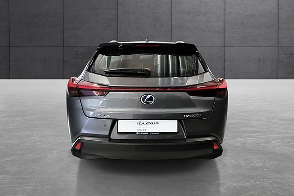 Lexus UX300e 4 of 30