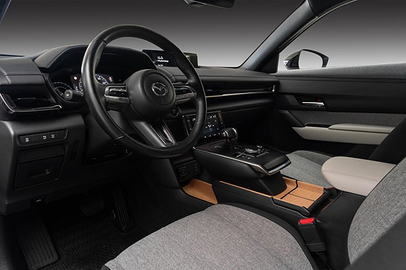 Mazda MX-30 21 of 25