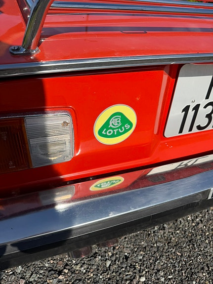 Jensen Healey 7 of 13