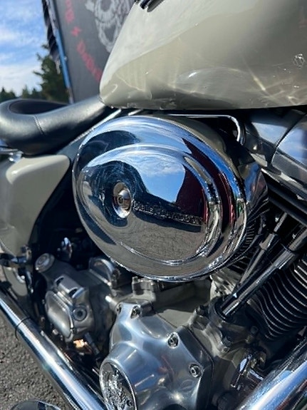 Harley-Davidson Road king Police 13 of 15