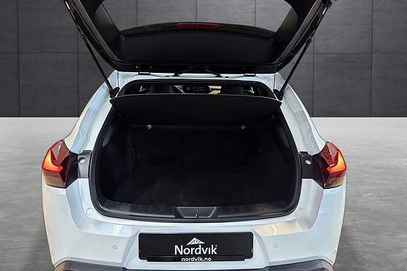 Lexus UX300e 19 of 21