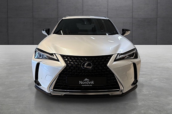 Lexus UX300e 8 of 21