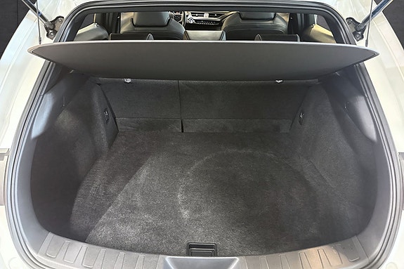 Lexus UX300e 20 of 21