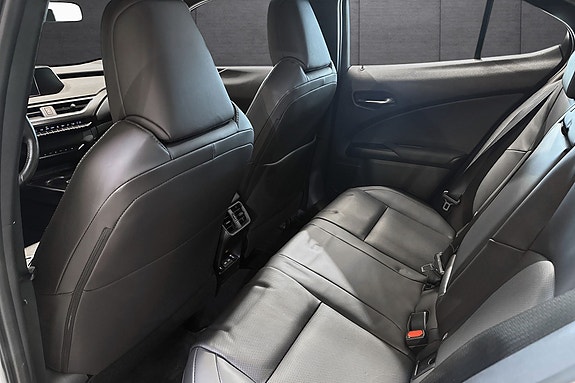 Lexus UX300e 18 of 21