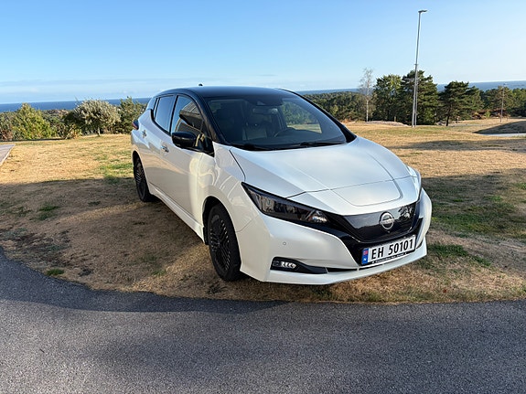 Nissan Leaf 2 of 19