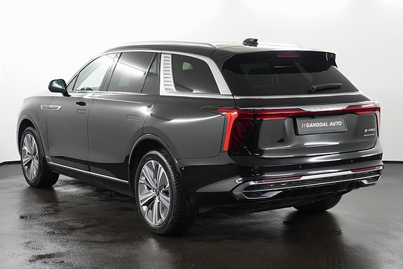Hongqi E-HS9 6 of 30