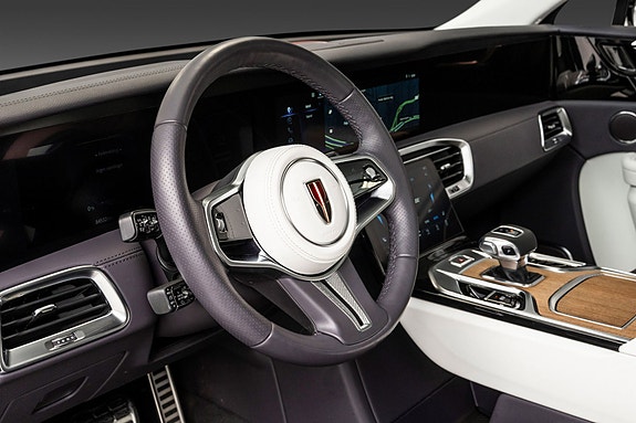 Hongqi E-HS9 17 of 28
