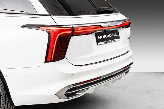 Hongqi E-HS9 6 of 28