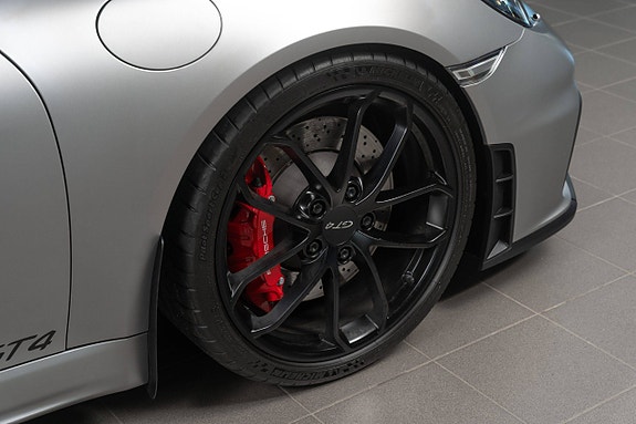 Porsche 718 Cayman GT4 20 of 30