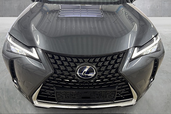 Lexus UX300e 14 of 14