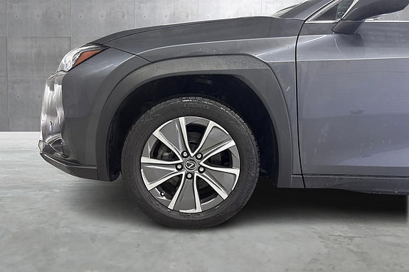 Lexus UX300e 13 of 14