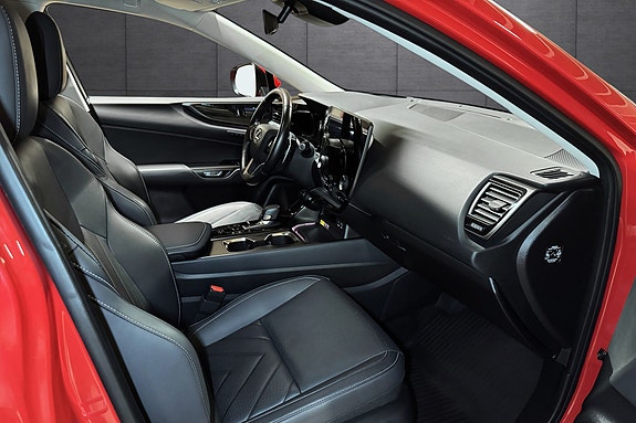 Lexus NX450h 11 of 23