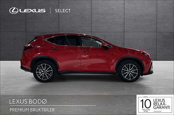Lexus NX450h 6 of 23