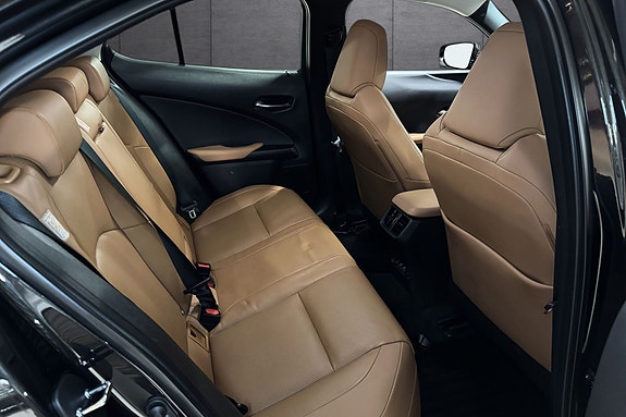 Lexus UX300e 13 of 23