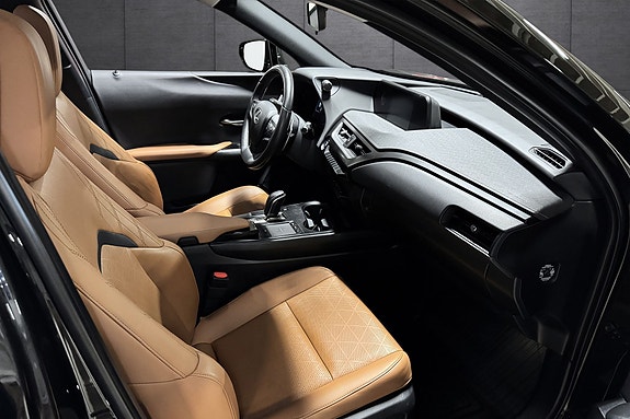 Lexus UX300e 11 of 23
