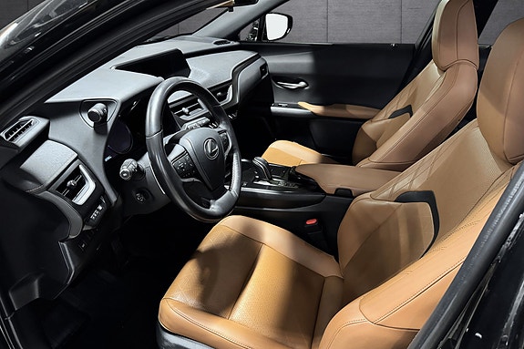 Lexus UX300e 10 of 23