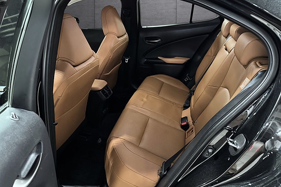 Lexus UX300e 12 of 23