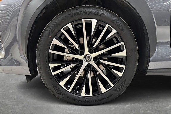 Lexus RZ450e 21 of 22