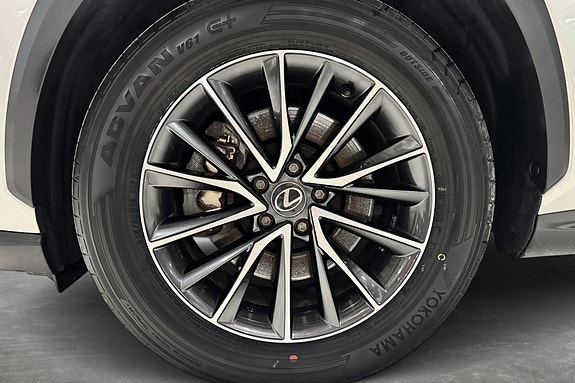 Lexus NX450h 21 of 22
