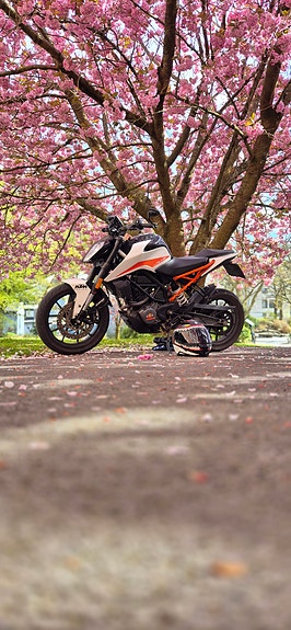 KTM 125 Duke 7 of 7