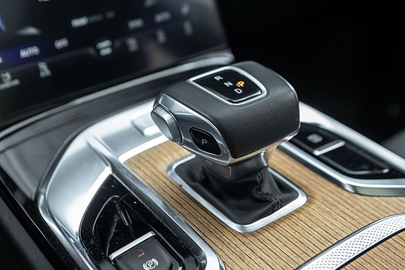 Hongqi E-HS9 21 of 30