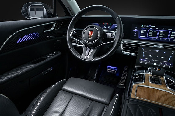 Hongqi E-HS9 28 of 30