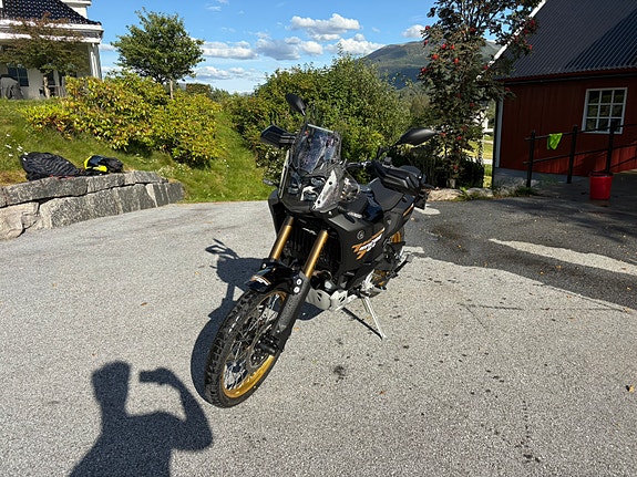 Yamaha Tenere 700 world raid 6 of 15