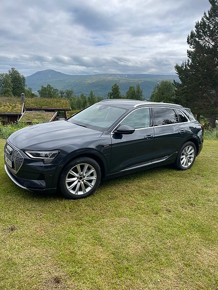 Audi e-tron 2 of 2