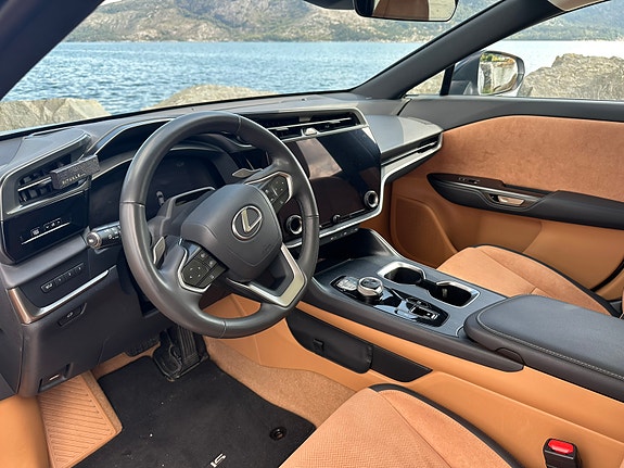 Lexus RZ450e 23 of 24