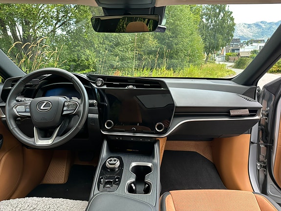 Lexus RZ450e 9 of 24