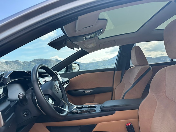 Lexus RZ450e 15 of 24