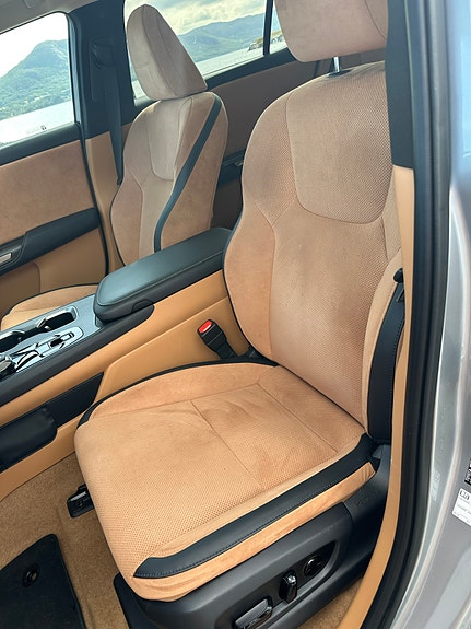 Lexus RZ450e 14 of 24