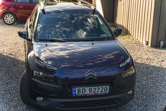 Citroen C4 Cactus 3 of 10