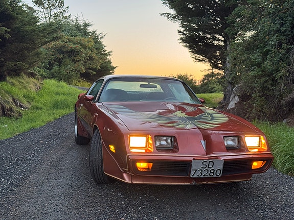 Pontiac Trans Am 2 of 12