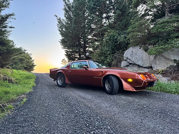 Pontiac Trans Am 5 of 12