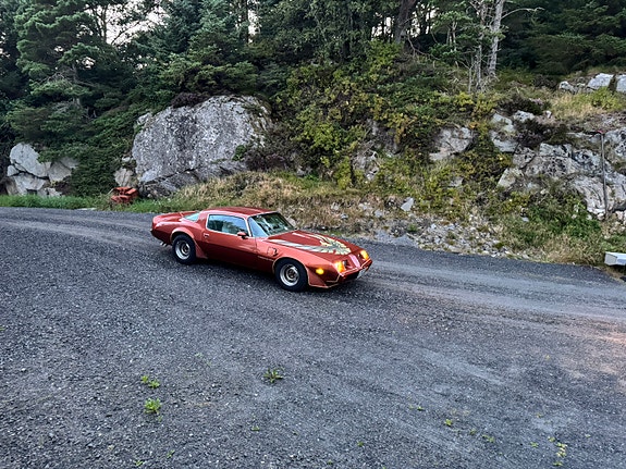 Pontiac Trans Am 11 of 12