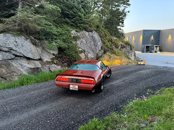 Pontiac Trans Am 8 of 12