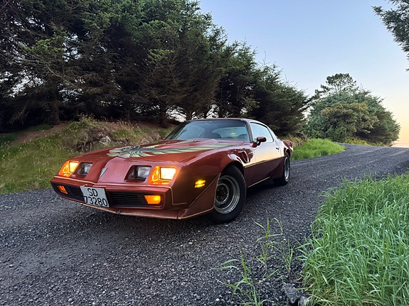Pontiac Trans Am 3 of 12