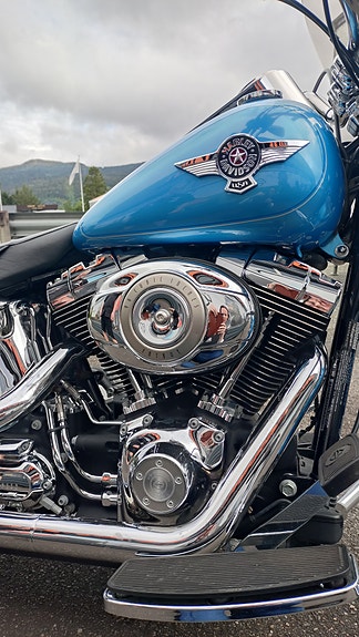 Harley-Davidson FLSTF Fat Boy 3 of 6