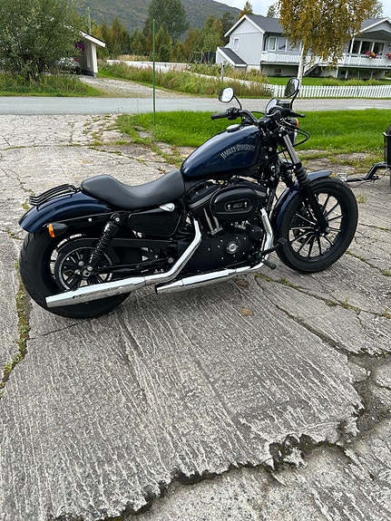 Harley-Davidson XL 883N Iron 4 of 5