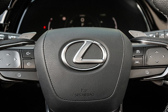 Lexus RX450h 10 of 25