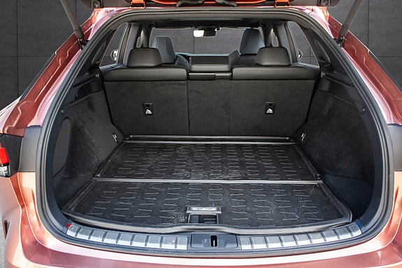 Lexus RX450h 22 of 25