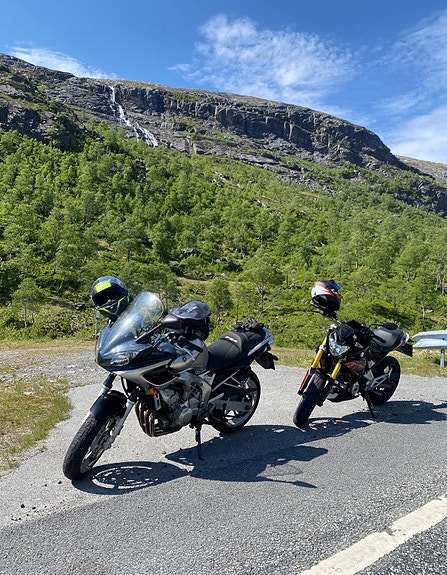 Yamaha FZ6 10 of 10