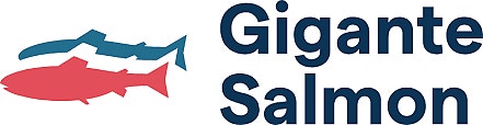 Gigante Salmon AS logo