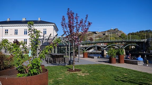 Bilde 3 av 3 i jobbannonse-galleriet