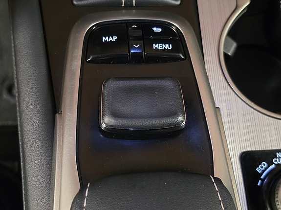 Lexus RX450h 30 of 30