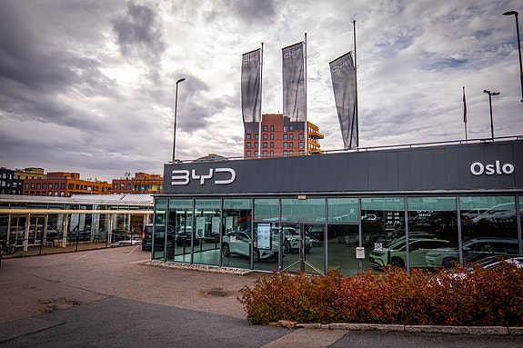 Bilde 1 av 2 i jobbannonse-galleriet